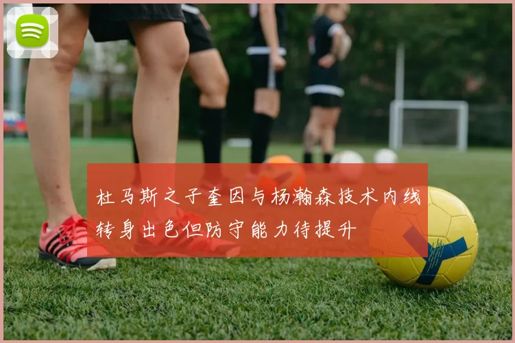 杜马斯之子奎因与杨瀚森技术内线转身出色但防守能力待提升